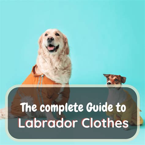 clone lab clothes|labrador clothing brands.